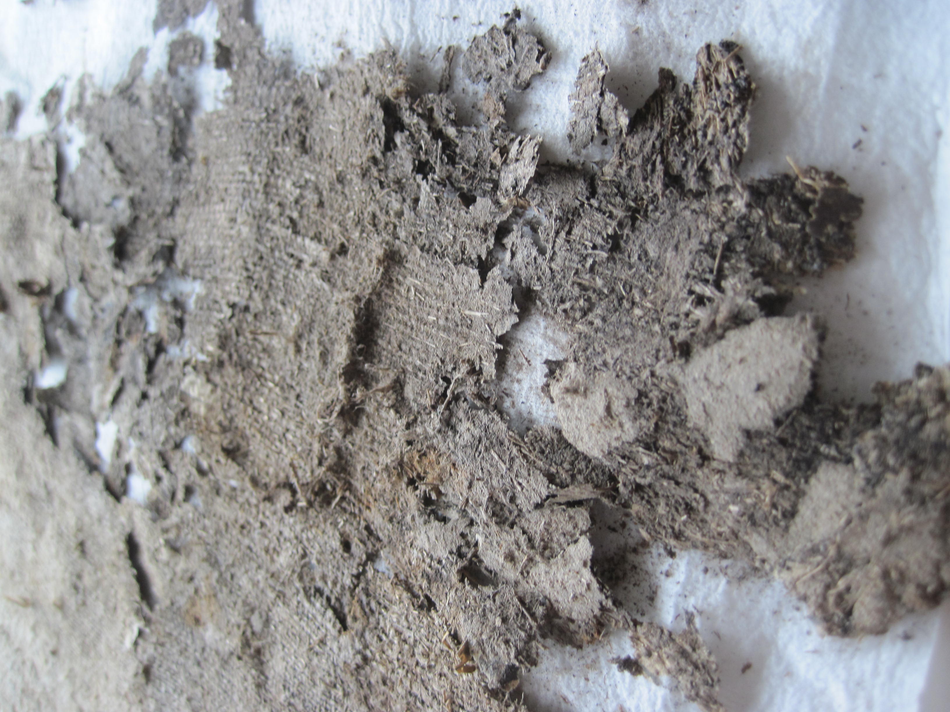 průběh restaurování (2)