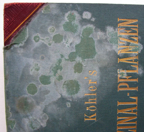 Medicínský atlas8